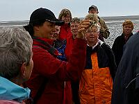 Neuwerk Wanderung tsv