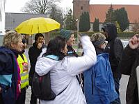 silvesterlauf 2015 19