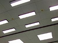 TSV-Sportschau 2009 115